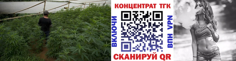 ТГК вейп  купить закладку  Ногинск 