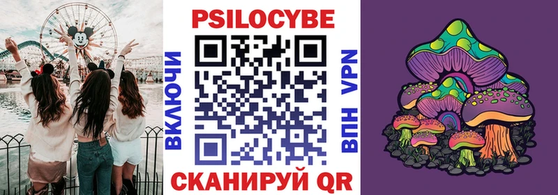 Галлюциногенные грибы прущие грибы  МЕГА онион  Ногинск  где купить наркотик 