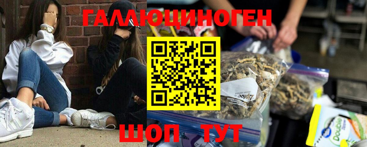 Ногинск  Псилоцибиновые грибы Psilocybe  Вход с VPN  Псилоцибиновые грибы ЛСД 